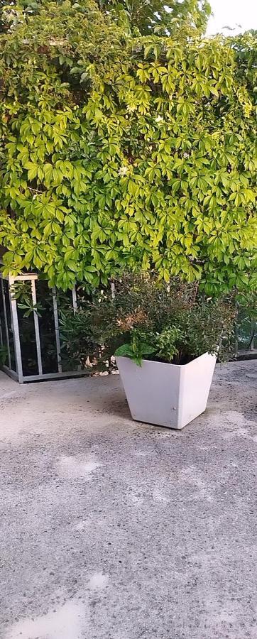 Apartments & Room Paula Stobreč Екстериор снимка